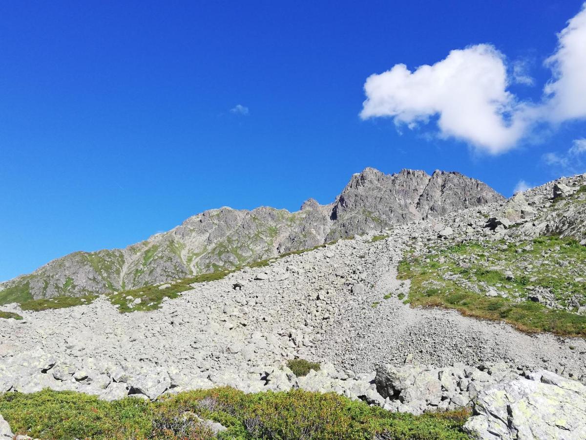Chambres Et Tables D'Hotes Le Choton A Nono - Col Du Joly Beaufortain Hauteluce Exterior photo