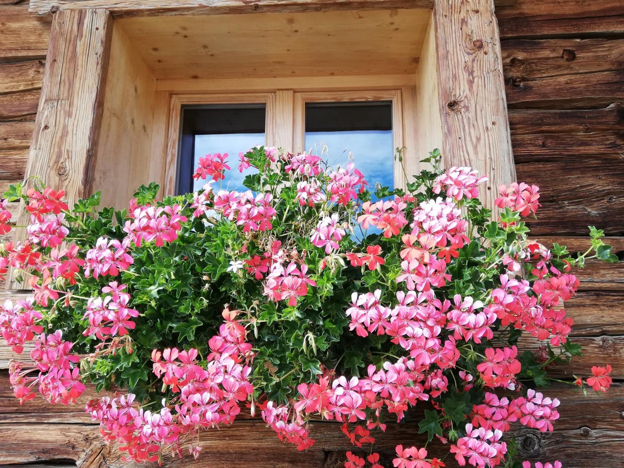Chambres Et Tables D'Hotes Le Choton A Nono - Col Du Joly Beaufortain Hauteluce Exterior photo